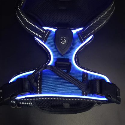 Kirsio | LED Valjaat