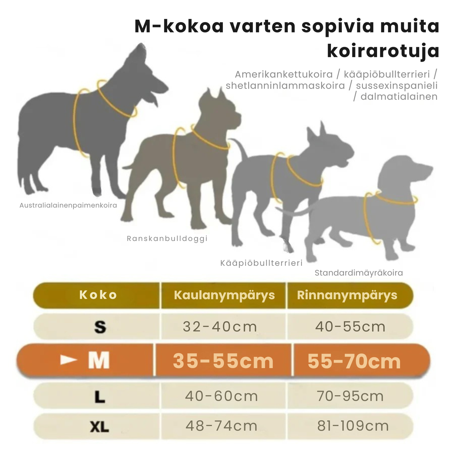 Kirsio | LED Valjaat