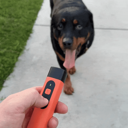 Łapcio | Przycisk kory