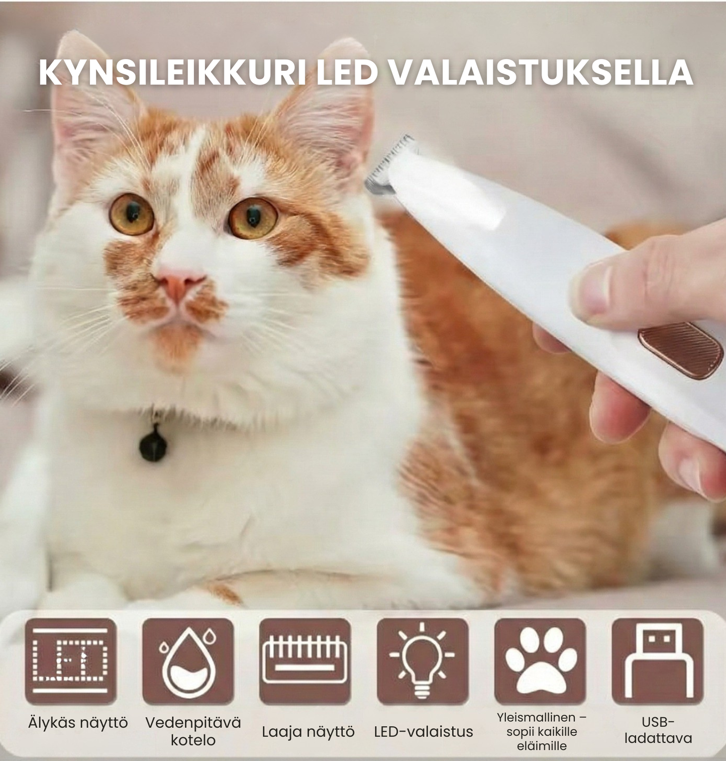 Kirsio | Lemmikkien trimmeri