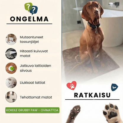 Kirsio | Koirille tarkoitettu ovimatto