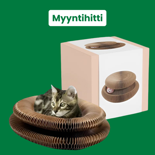 Kirsio I Kissan pyörremyrsky