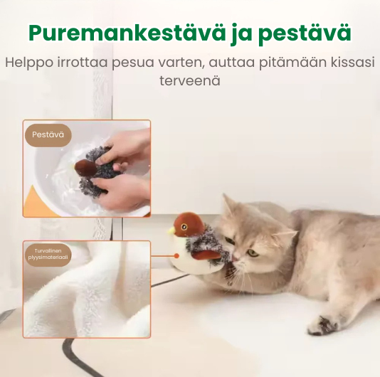 Kirsio I Lepattava lintu