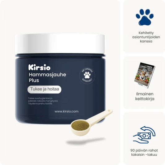 Kirsio I Hammasjauhe koirille