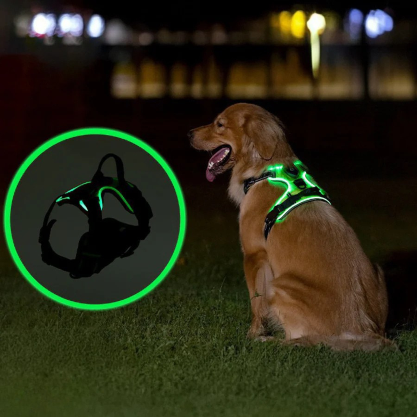 Kirsio | LED Valjaat