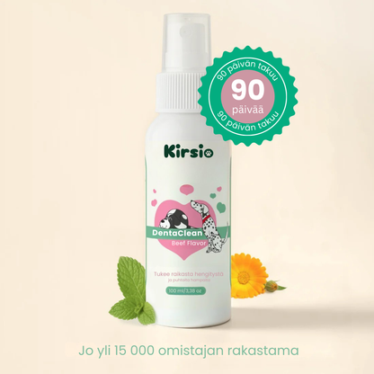 Kirsio | Hammaskiven vastainen suusuihke