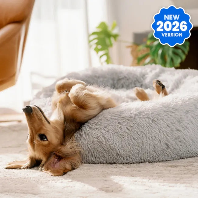 Brooklyn® Deep Sleep Pet Bed
