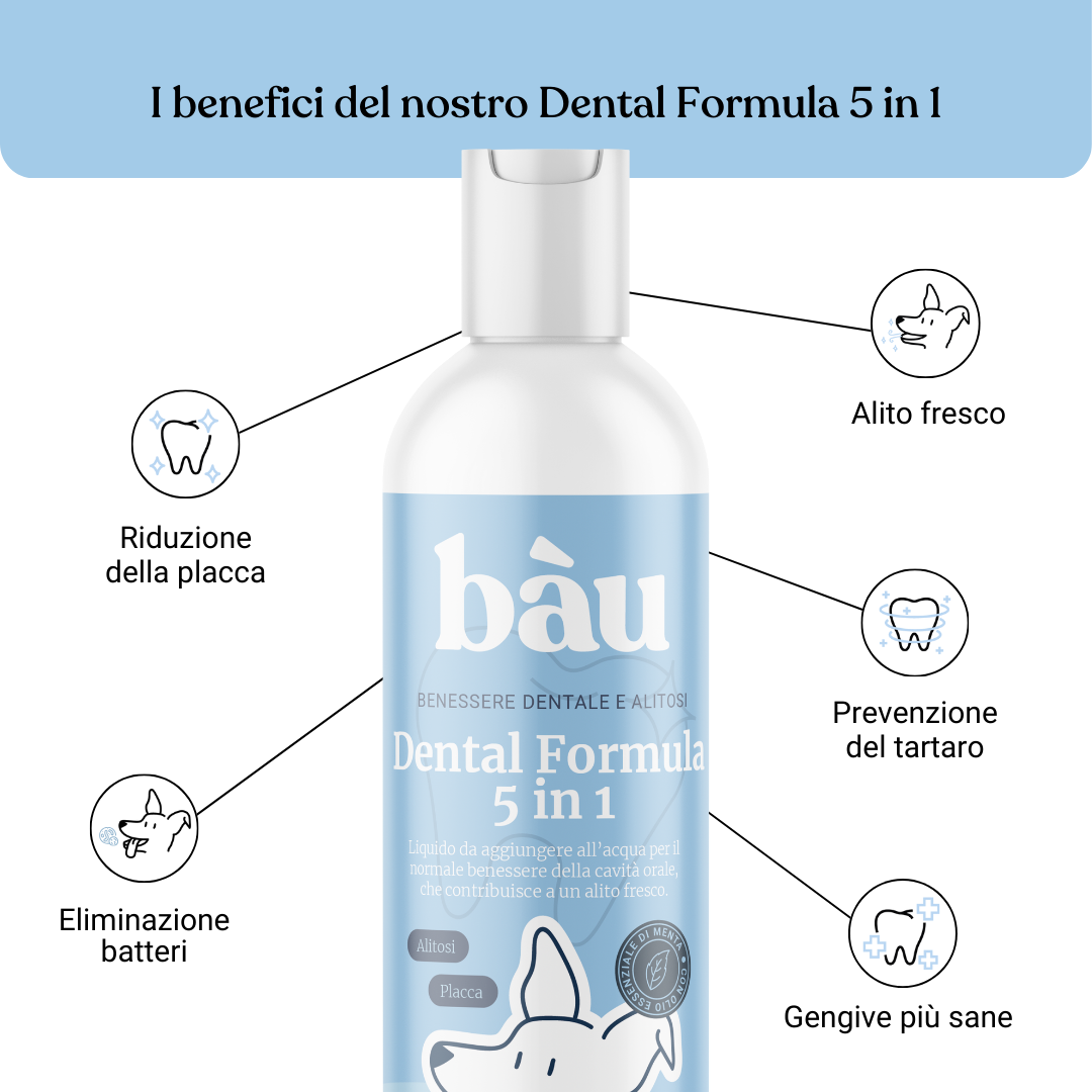 Dental Formula 5 in 1