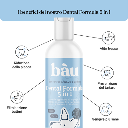 Dental Formula 5 in 1
