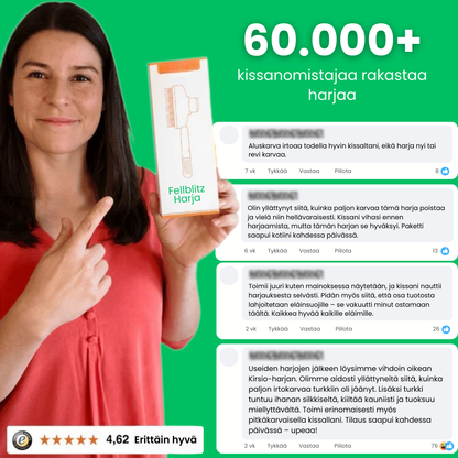 Kirsio I Fellblitz-harja – myyntihitti