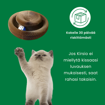 Kirsio I Kissan pyörremyrsky