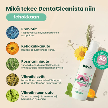 Kirsio | Hammaskiven vastainen suusuihke