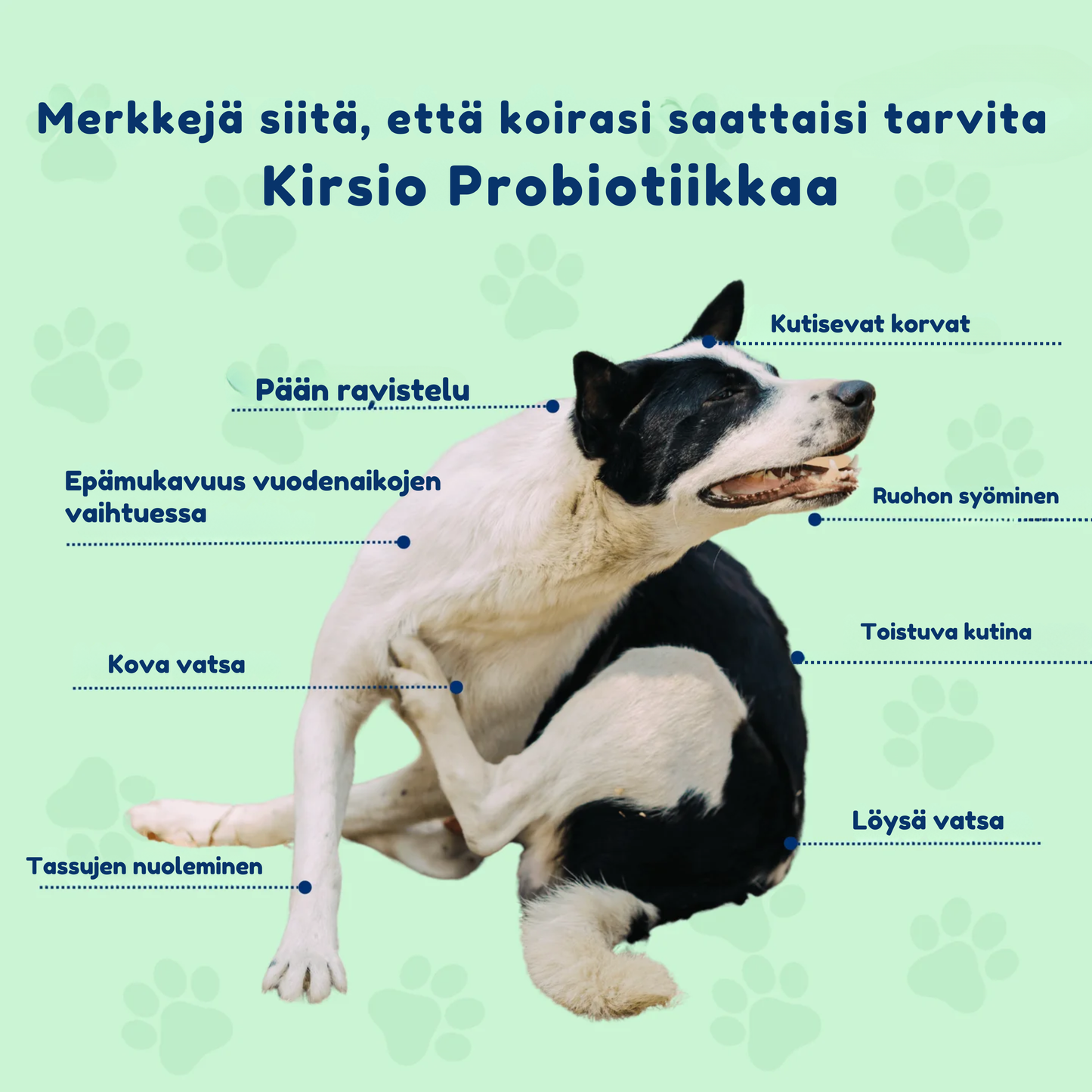 Kirsio | Terve suolistofloora