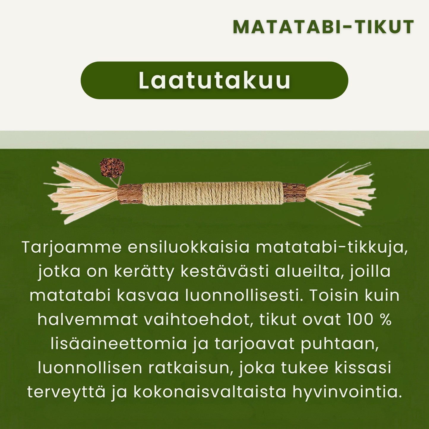 Kirsio | Matatabi-hammashoitotikut