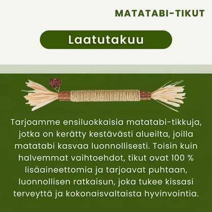 Kirsio | Matatabi-hammashoitotikut