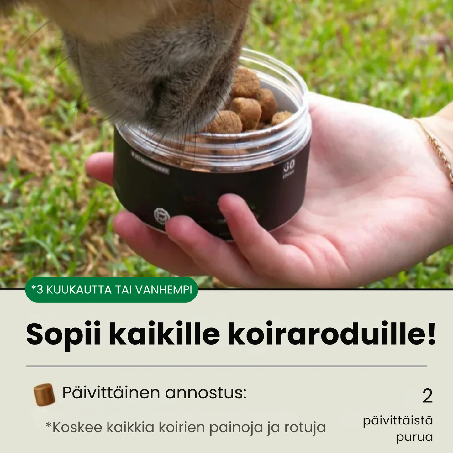 Kirsio – päivittäiset monivitamiinipurut