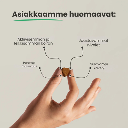 Kirsio I täydentää niveliä.