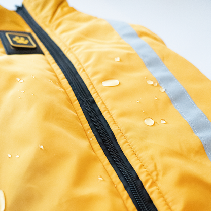 Kirsio I Active + Thermo Fleece -koirantakki