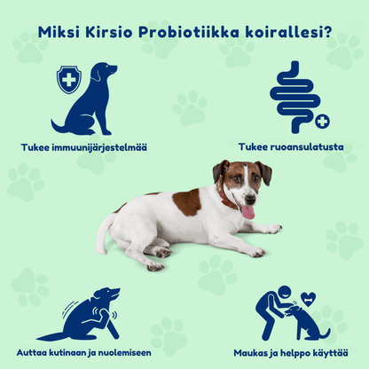 Kirsio | Terve suolistofloora