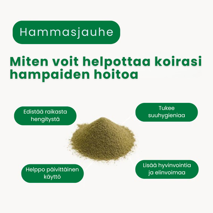 Kirsio I Hammasjauhe koirille