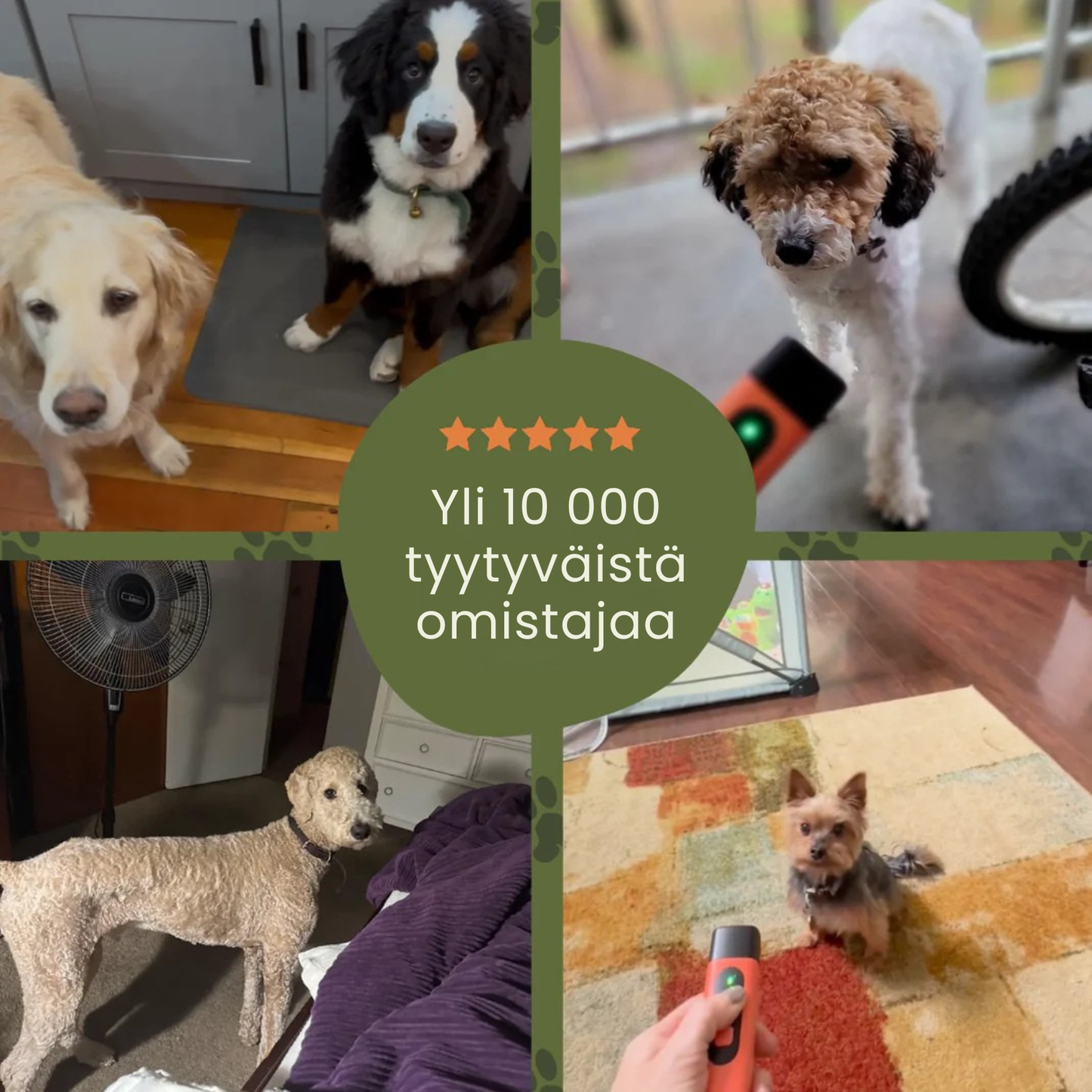 Stop Kirsio | Rauhoittaa haukkumisen helposti