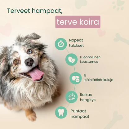 Kirsio | Hammaskiven vastainen suusuihke