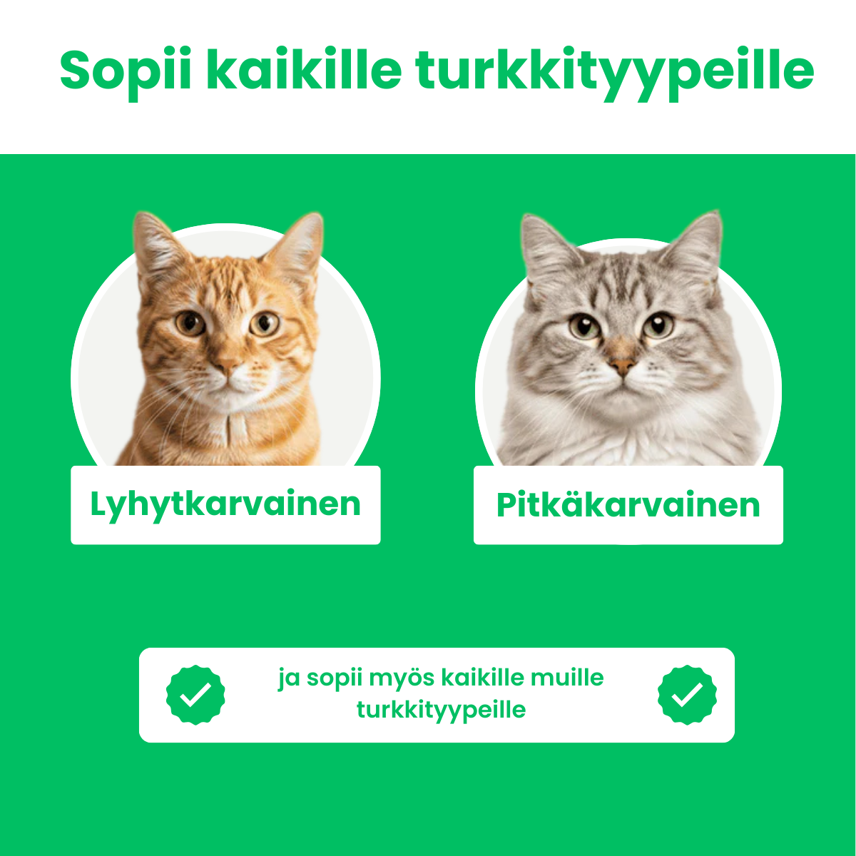 Kirsio I Fellblitz-harja – myyntihitti