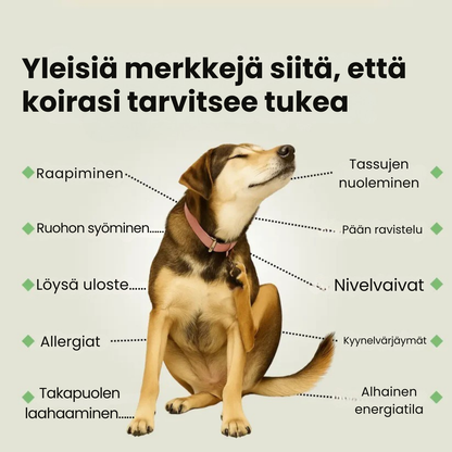 Kirsio – päivittäiset monivitamiinipurut