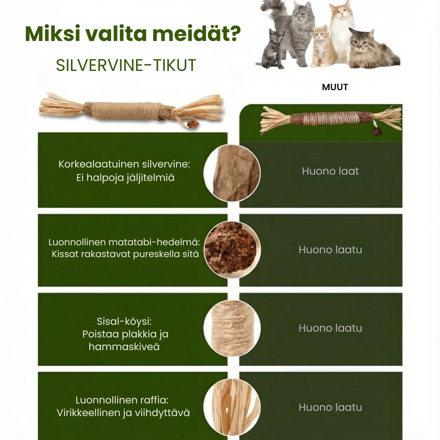 Kirsio | Matatabi-hammashoitotikut