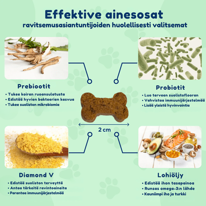 Kirsio | Terve suolistofloora