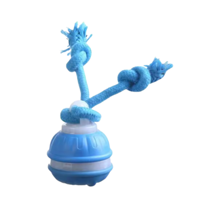 Kirsio | Älykäs lemmikkipallo