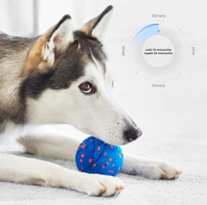 Kirsio | Drilsk Air -pallo