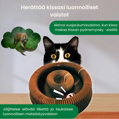 Kirsio I Kissan pyörremyrsky