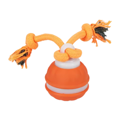 Kirsio | Älykäs lemmikkipallo