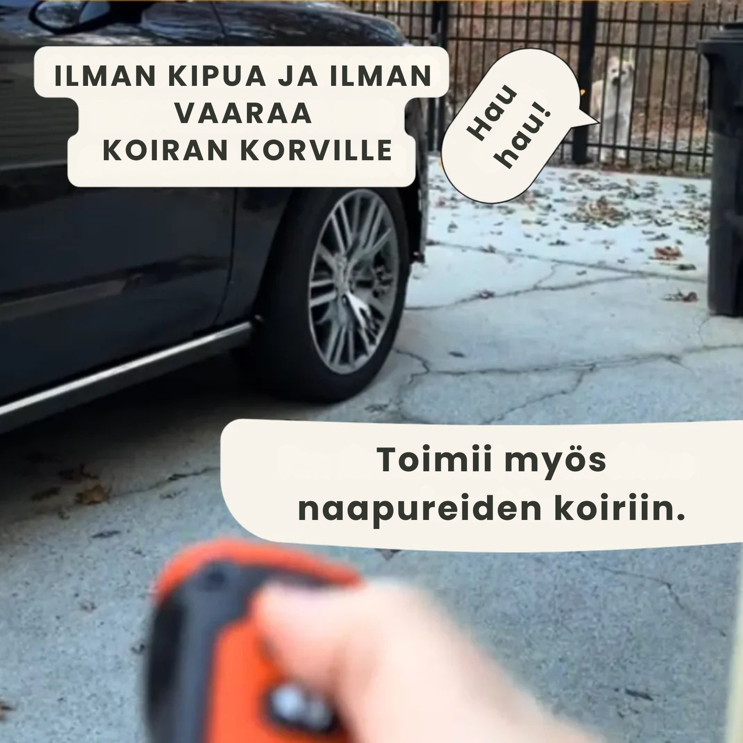 Stop Kirsio | Rauhoittaa haukkumisen helposti