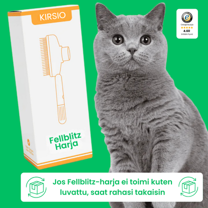 Kirsio I Fellblitz-harja – myyntihitti