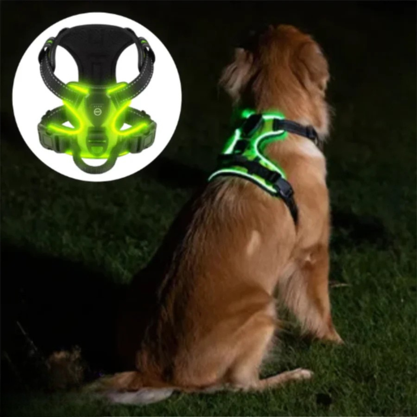 Kirsio | LED Valjaat