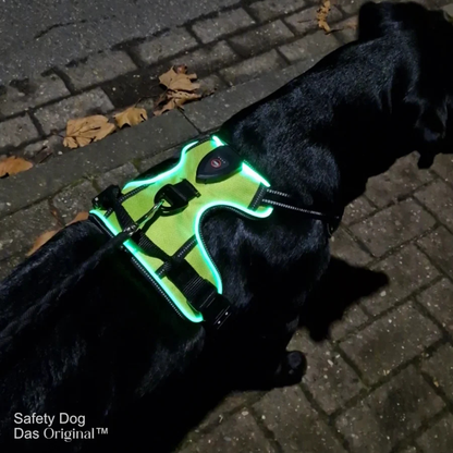 Kirsio | LED Valjaat