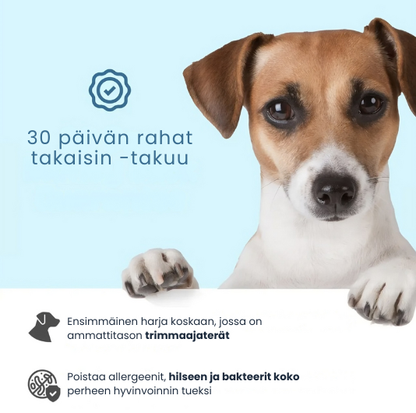 Kirsio | Johtava ratkaisu lemmikkien karvanlähtöön