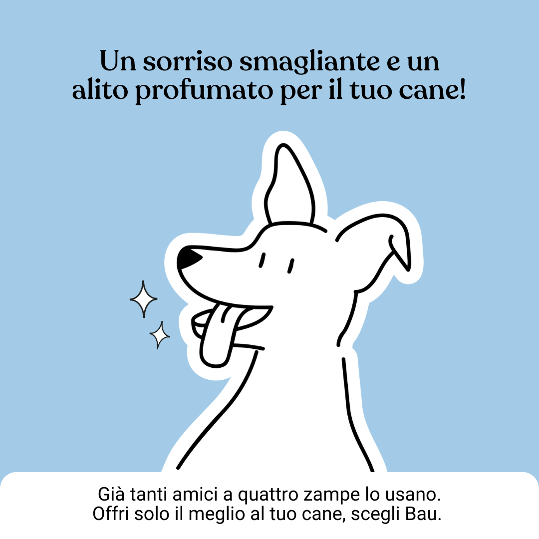 Dental Formula 5 in 1