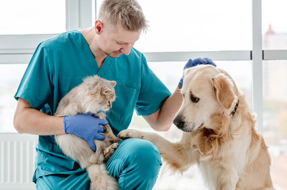 Veterinarian image