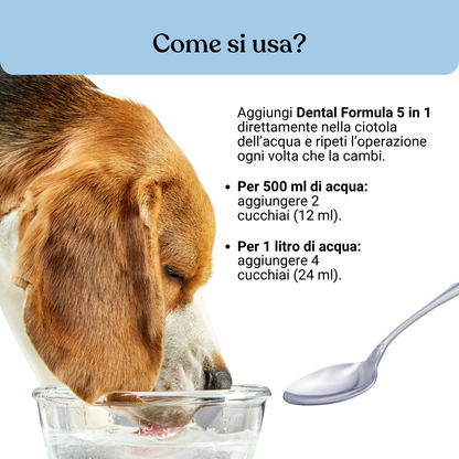 Dental Formula 5 in 1