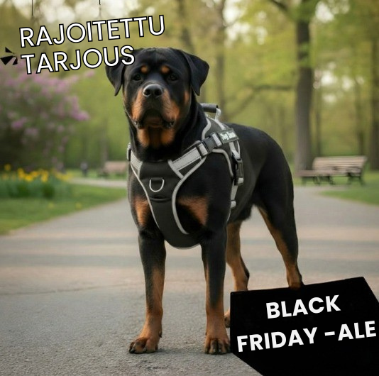 Kirsio | Szelki przeciw ciągnięciu