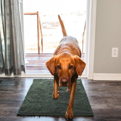 Kirsio | Ovimatto Lemmikkien tassuille