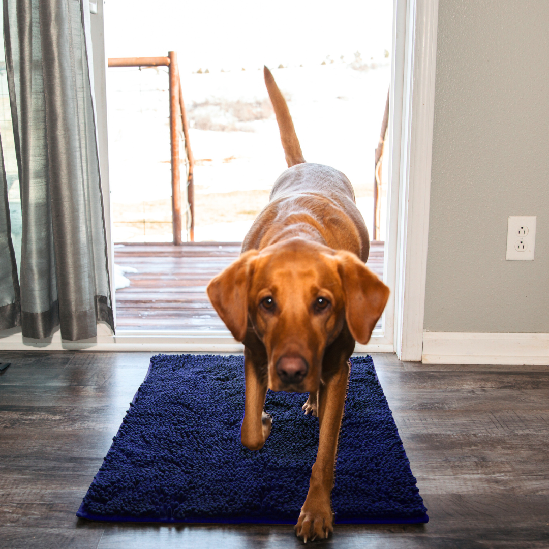 Kirsio | Ovimatto Lemmikkien tassuille