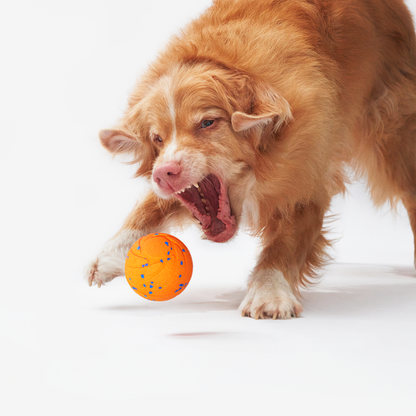 Kirsio | Drilsk Air -pallo