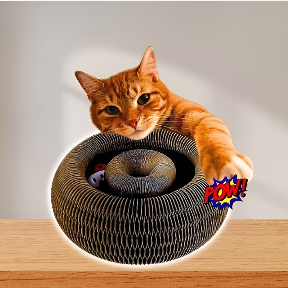 Kirsio I Kissan pyörremyrsky